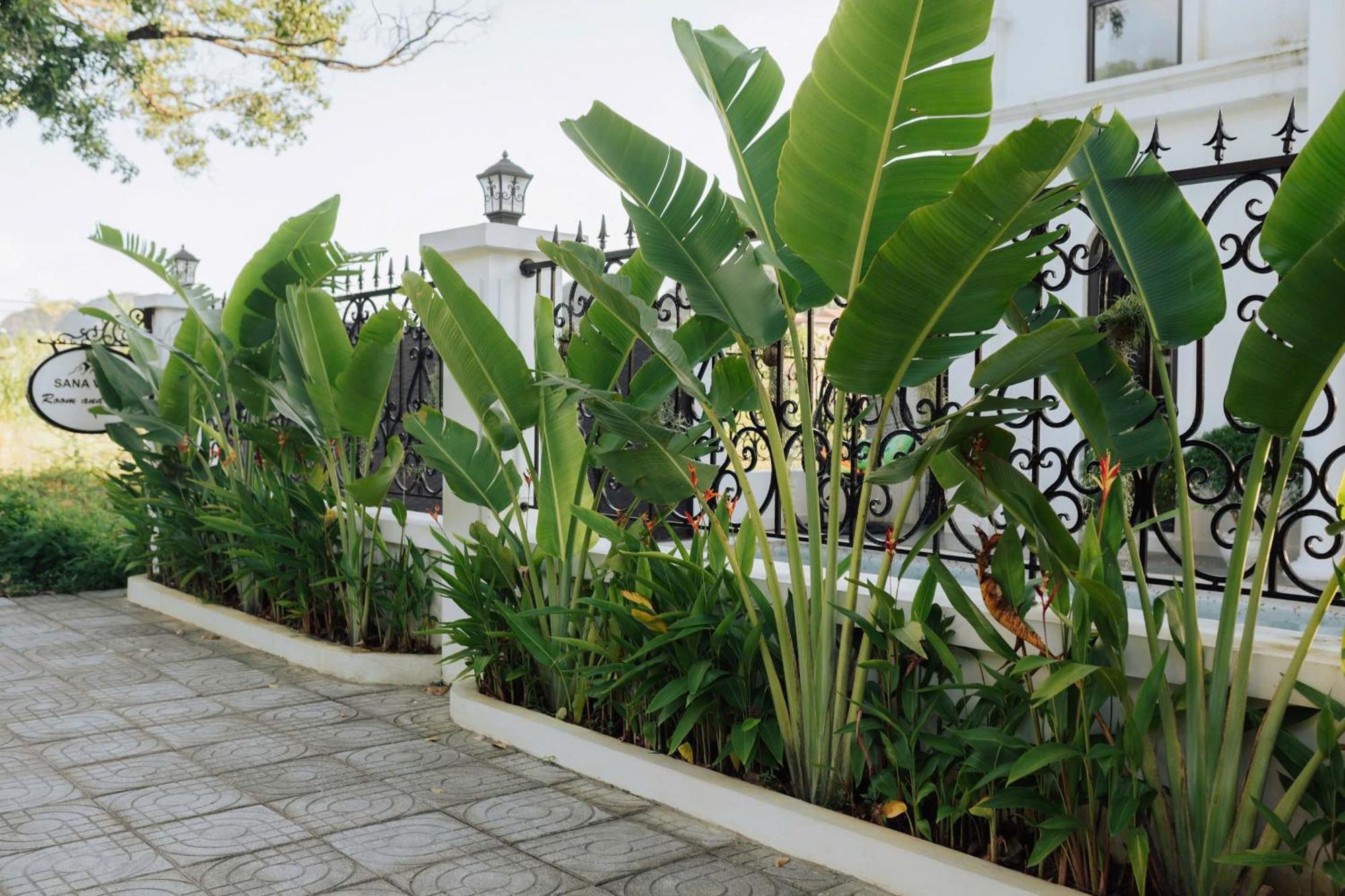 Tam Coc Sana Villa & Homestays Ninh Binh Bagian luar foto